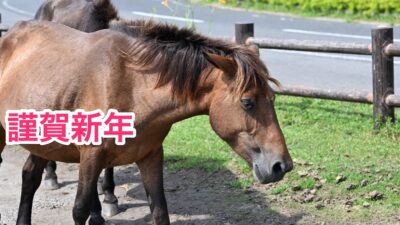 誰でも利用できる居場所ありませんか？